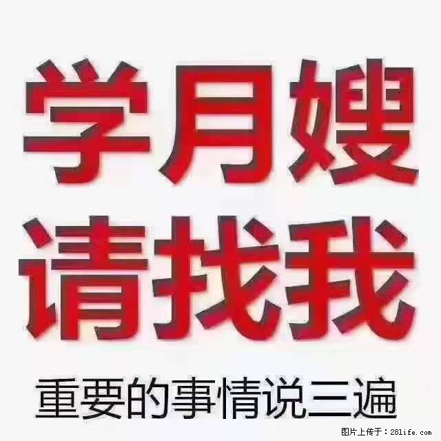 为什么要学习月嫂，育婴师？ - 其他广告 - 广告专区 - 喀什分类信息 - 喀什28生活网 ks.28life.com