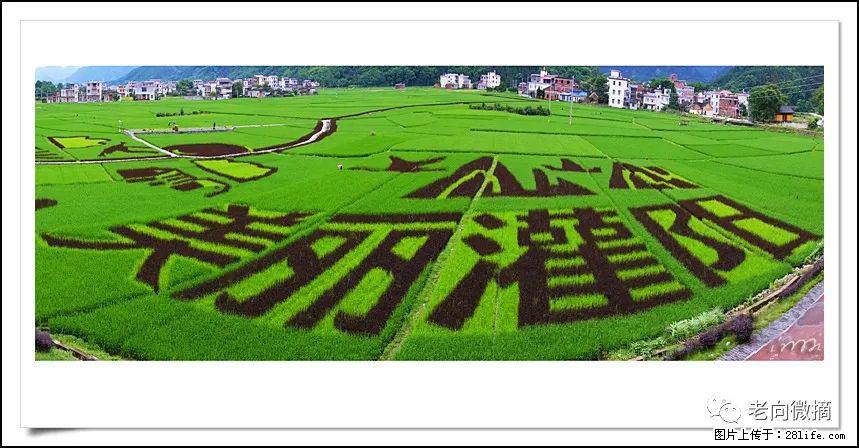 【春天,广西桂林灌阳县向您发出邀请!】开篇 - 游山玩水 - 喀什生活社区 - 喀什28生活网 ks.28life.com