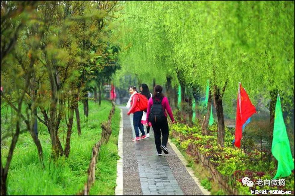 【春天,广西桂林灌阳县向您发出邀请!】江口老街又逢春 - 游山玩水 - 喀什生活社区 - 喀什28生活网 ks.28life.com