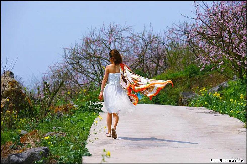 【春天,广西桂林灌阳县向您发出邀请!】望月岭上桃花开 - 游山玩水 - 喀什生活社区 - 喀什28生活网 ks.28life.com