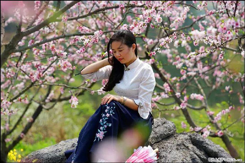 【春天,广西桂林灌阳县向您发出邀请!】望月岭上桃花开 - 游山玩水 - 喀什生活社区 - 喀什28生活网 ks.28life.com