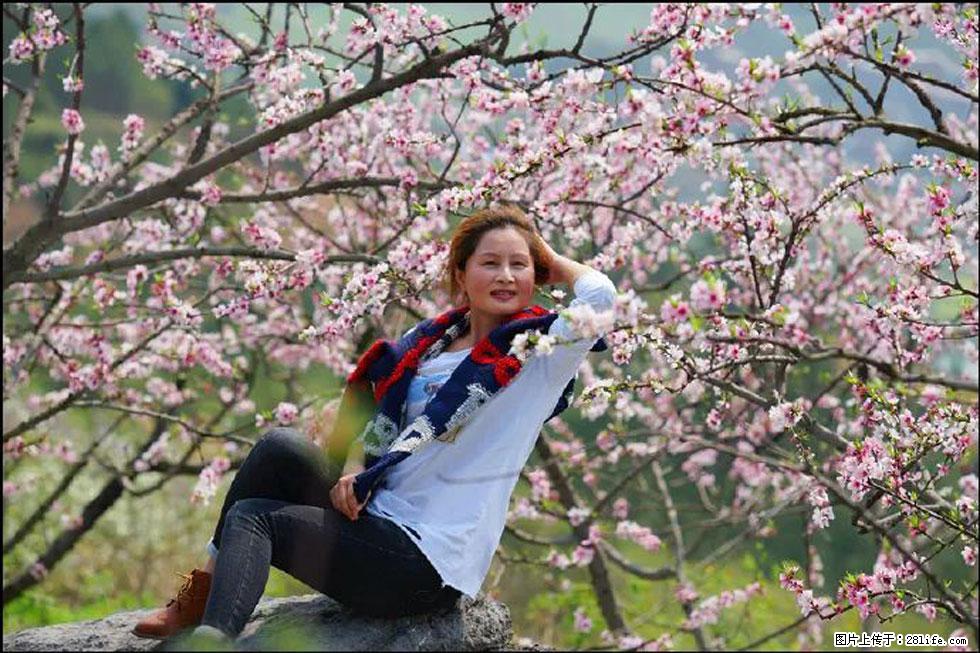 【春天,广西桂林灌阳县向您发出邀请!】望月岭上桃花开 - 游山玩水 - 喀什生活社区 - 喀什28生活网 ks.28life.com