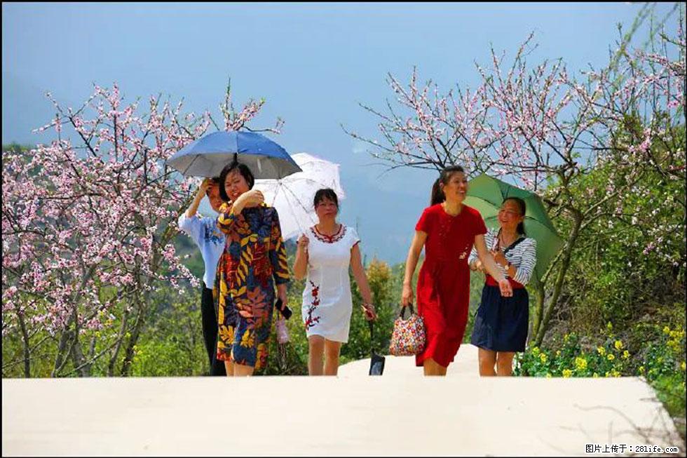 【春天,广西桂林灌阳县向您发出邀请!】望月岭上桃花开 - 游山玩水 - 喀什生活社区 - 喀什28生活网 ks.28life.com