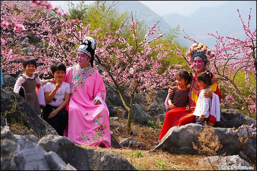 【春天,广西桂林灌阳县向您发出邀请!】望月岭上桃花开 - 游山玩水 - 喀什生活社区 - 喀什28生活网 ks.28life.com