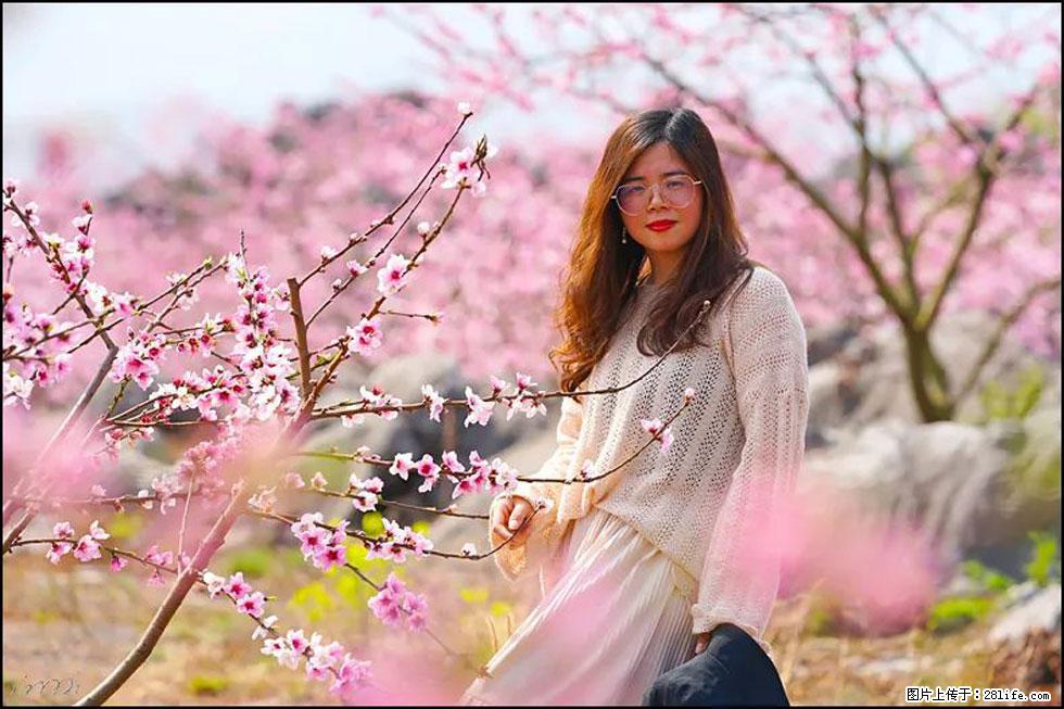 【春天,广西桂林灌阳县向您发出邀请!】望月岭上桃花开 - 游山玩水 - 喀什生活社区 - 喀什28生活网 ks.28life.com