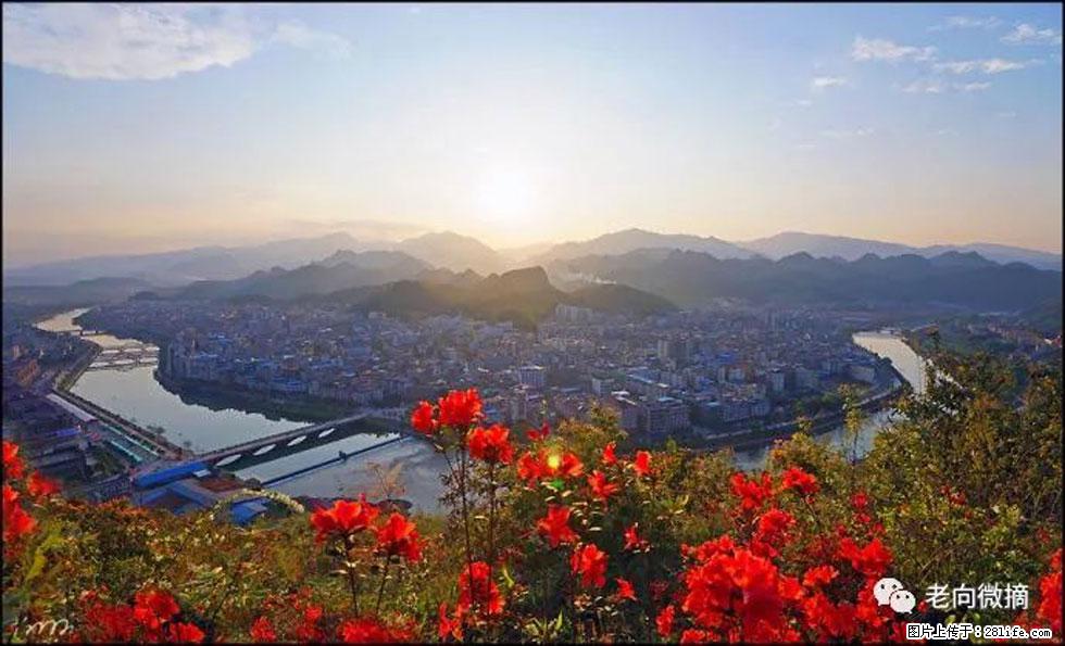 【春天，广西桂林灌阳县向您发出邀请！】登麒麟山，相约映山红 - 游山玩水 - 喀什生活社区 - 喀什28生活网 ks.28life.com