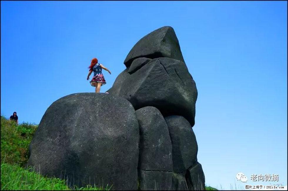 【春天，广西桂林灌阳县向您发出邀请！】宝盖山上映山红 - 游山玩水 - 喀什生活社区 - 喀什28生活网 ks.28life.com