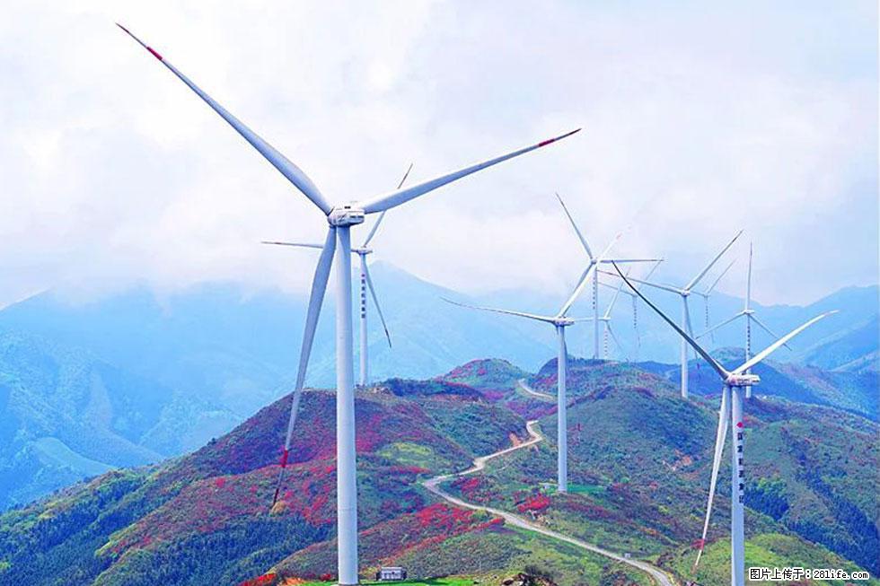 【春天，广西桂林灌阳县向您发出邀请！】春木界上映山红 - 游山玩水 - 喀什生活社区 - 喀什28生活网 ks.28life.com