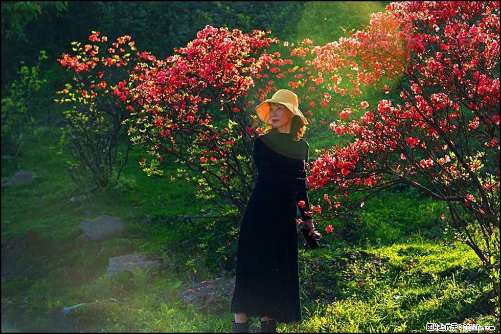 【春天，广西桂林灌阳县向您发出邀请！】春木界上映山红 - 游山玩水 - 喀什生活社区 - 喀什28生活网 ks.28life.com