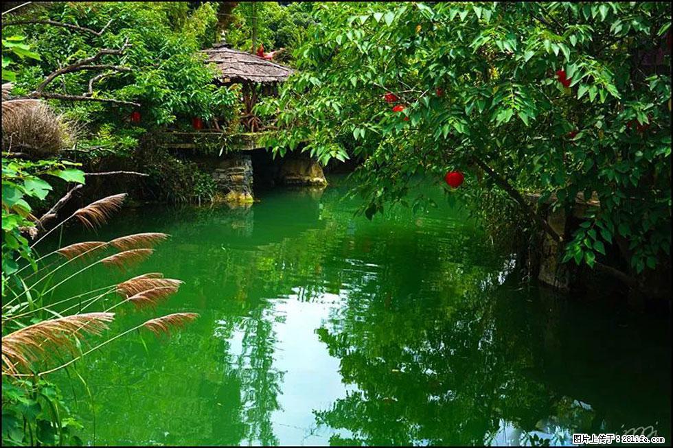 【春天,广西桂林灌阳县向您发出邀请!】如梦似幻莲溪庐 - 游山玩水 - 喀什生活社区 - 喀什28生活网 ks.28life.com
