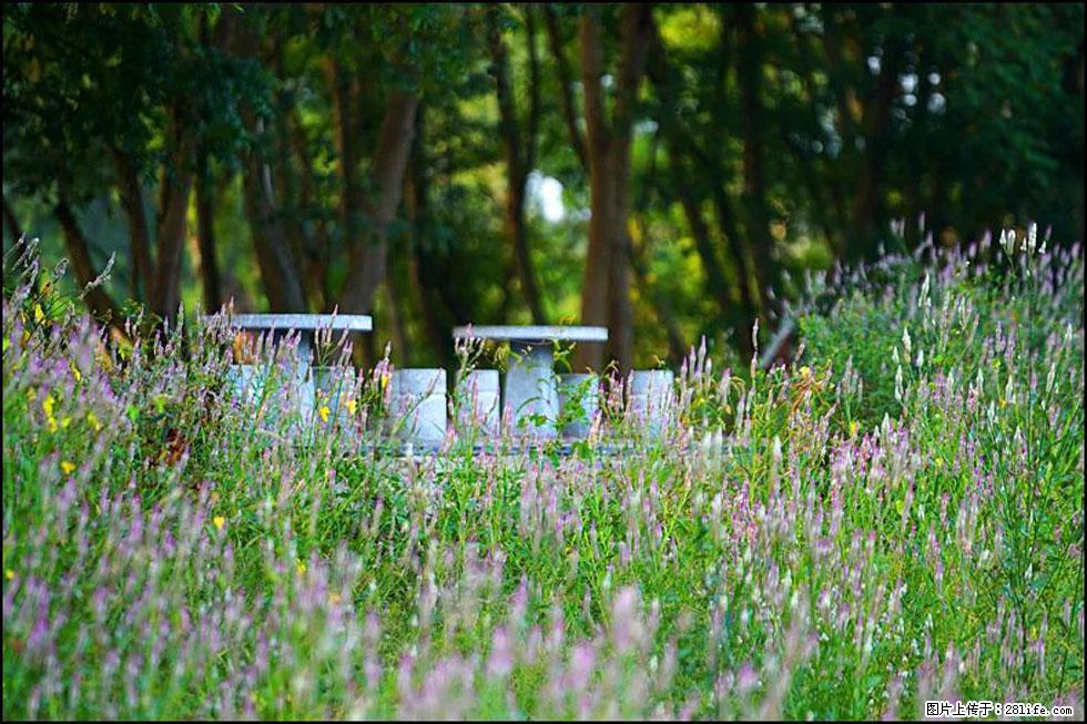 【春天,广西桂林灌阳县向您发出邀请!】熊家寨湿地公园 - 游山玩水 - 喀什生活社区 - 喀什28生活网 ks.28life.com