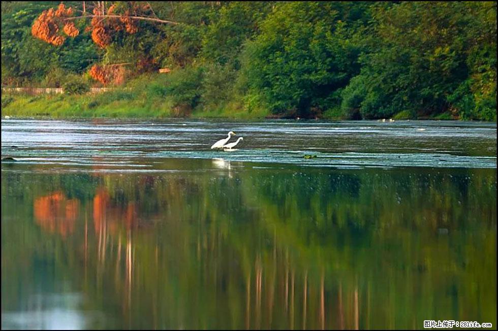 【春天,广西桂林灌阳县向您发出邀请!】熊家寨湿地公园 - 游山玩水 - 喀什生活社区 - 喀什28生活网 ks.28life.com