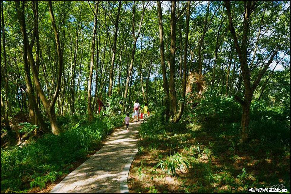 【春天,广西桂林灌阳县向您发出邀请!】熊家寨湿地公园 - 游山玩水 - 喀什生活社区 - 喀什28生活网 ks.28life.com