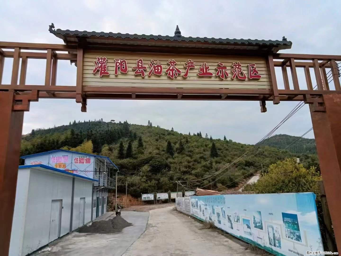 【灌阳县油茶产业示范区】一个有着充实的精神生活的人,对待身外之物自会有一种淡泊的态度 - 土特产 - 饮食特产 - 喀什分类信息 - 喀什28生活网 ks.28life.com