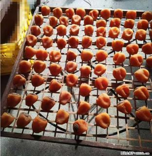 广西桂林平乐桥亭【柿饼之乡】2025年纯手工制作、无任何添加剂的第一批柿饼准备上市了，欢迎联系订购！ - 喀什28生活网 ks.28life.com