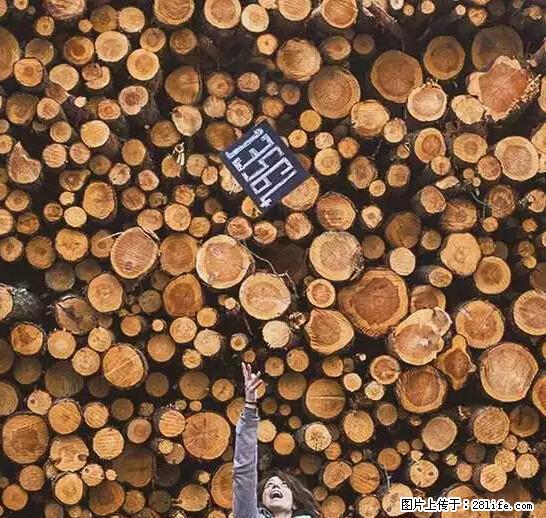 辞掉工作周游世界？现在他们在洗厕所…… - 游山玩水 - 喀什生活社区 - 喀什28生活网 ks.28life.com