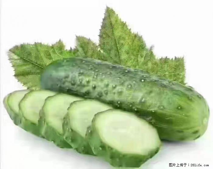 【生活小常识】吃黄瓜的好处 - 生活百科 - 喀什生活社区 - 喀什28生活网 ks.28life.com