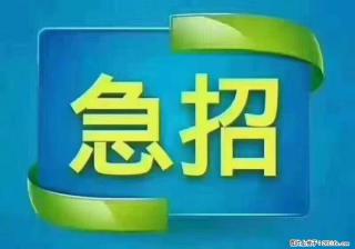 招出纳8000元/月，无证可以，要有相关经验，上海五险一金，包住，包工作餐，做六休一。 - 喀什28生活网 ks.28life.com