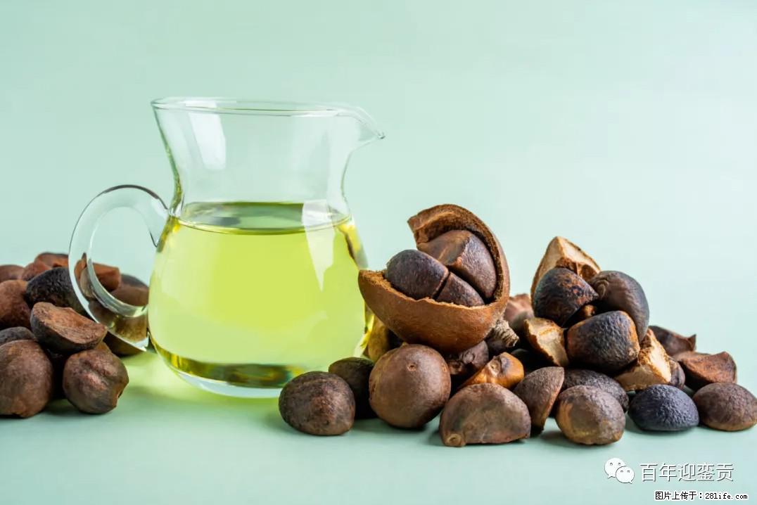 世界没有真相，只有认知，最好的食用油是中国的山茶油！ - 喀什生活资讯 - 喀什28生活网 ks.28life.com