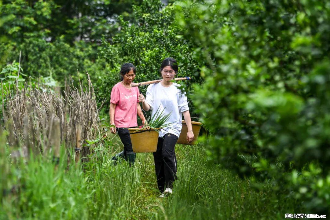 全网追的“扁担女孩”，找了一份暑假工，时薪12元 - 喀什生活资讯 - 喀什28生活网 ks.28life.com