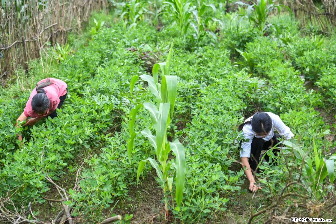 全网追的“扁担女孩”，找了一份暑假工，时薪12元 - 喀什生活资讯 - 喀什28生活网 ks.28life.com