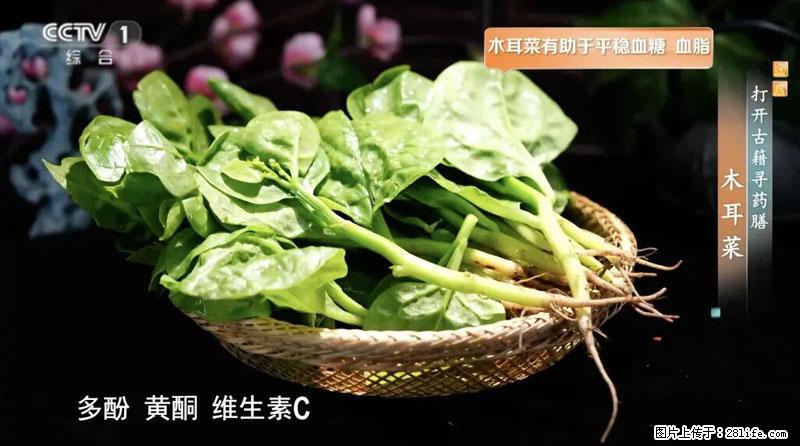 比牛奶补钙还厉害!凉血解毒、稳血糖...这菜冬天必吃,很多人却当草 - 喀什生活资讯 - 喀什28生活网 ks.28life.com
