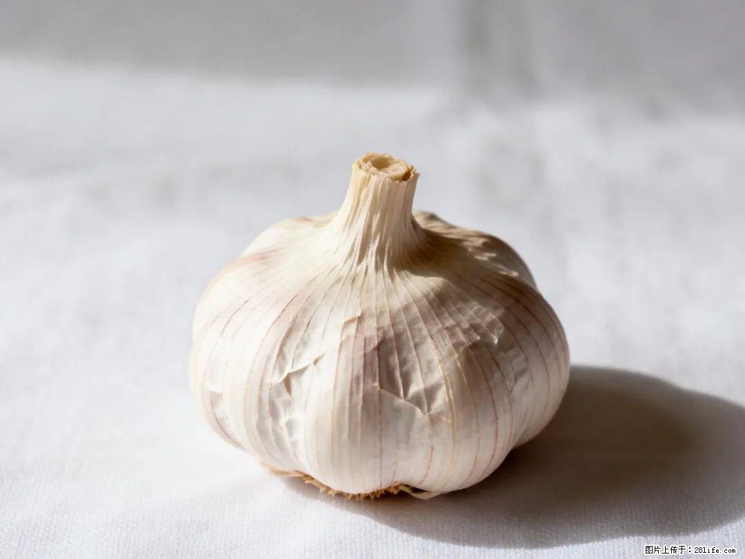 关于大蒜,除了“天然抗生素”,这4个谣言更该警惕! - 喀什生活资讯 - 喀什28生活网 ks.28life.com