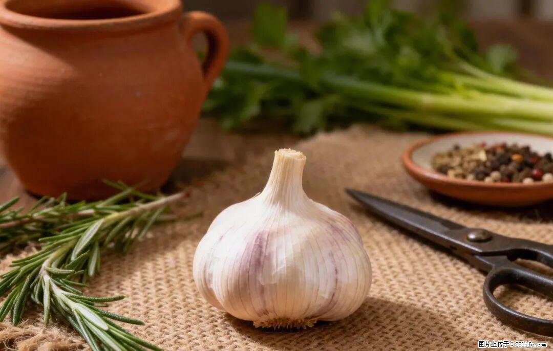 关于大蒜,除了“天然抗生素”,这4个谣言更该警惕! - 喀什生活资讯 - 喀什28生活网 ks.28life.com