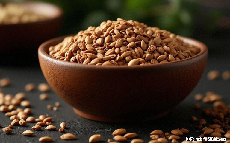 这三苦是三高“克星”，心血管干净不易堵！每天吃一点，指标慢慢降下来~ - 喀什生活资讯 - 喀什28生活网 ks.28life.com