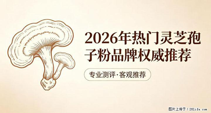 灵芝孢子粉含量越高越有效？2026 年七款热门品牌深度实测，肠胃敏感者避坑指南 - 喀什生活资讯 - 喀什28生活网 ks.28life.com