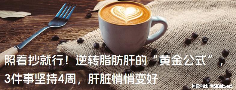 照着抄就行！逆转脂肪肝的“黄金公式”，3件事坚持4周，肝脏悄悄变好 - 喀什生活资讯 - 喀什28生活网 ks.28life.com